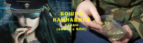 молекула духа Новозыбков