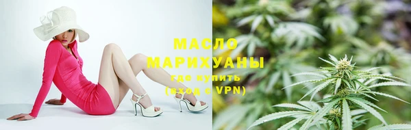 молекула духа Новозыбков