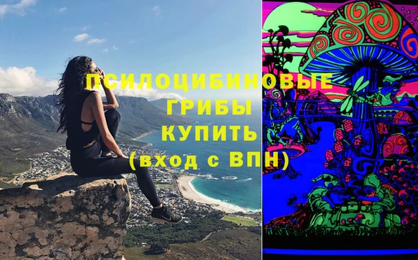 молекула духа Новозыбков