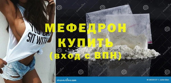 молекула духа Новозыбков