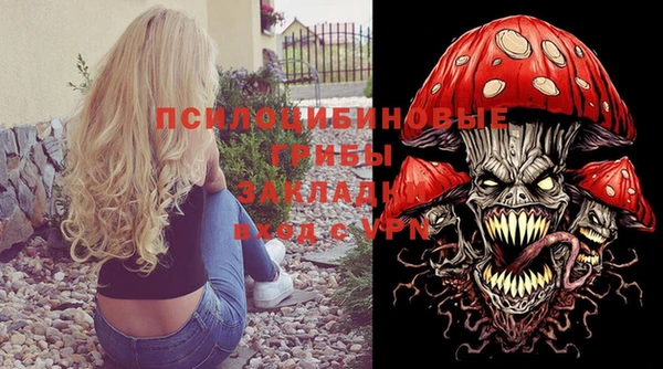 герыч Новодвинск