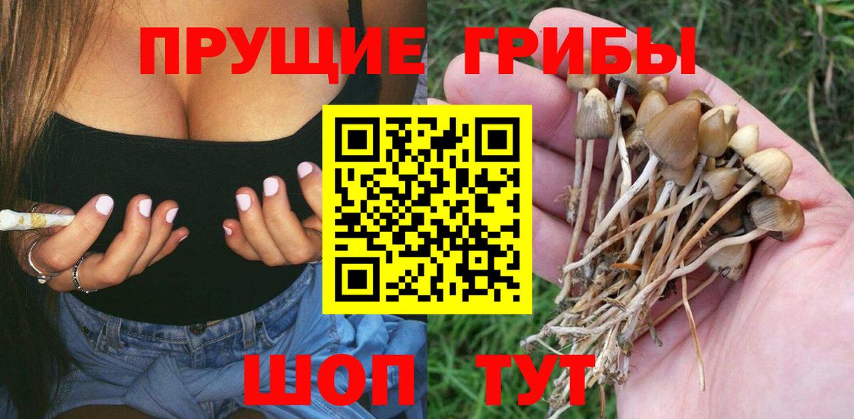 Нижневартовск  Псилоцибиновые грибы Psilocybe  Вход с VPN 