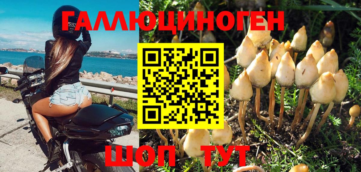 Псилоцибиновые грибы мухоморы Нижневартовск